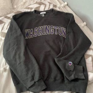 Champion University of Washington pull over